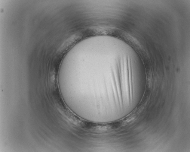 X0000061120314200512091850