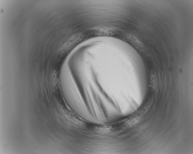 X0000061120318200512091850