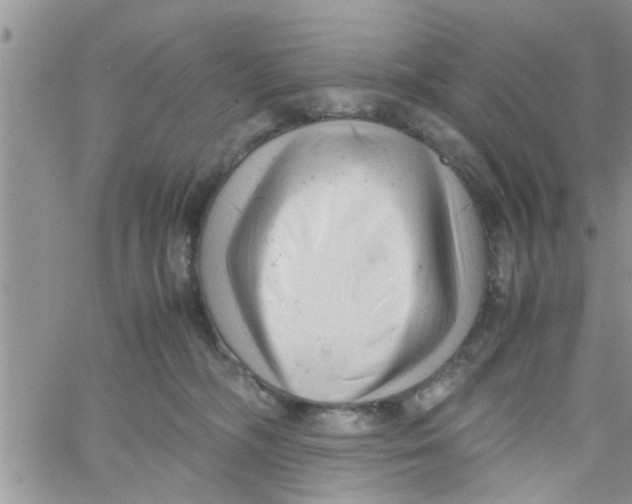 X0000061120326200512091849