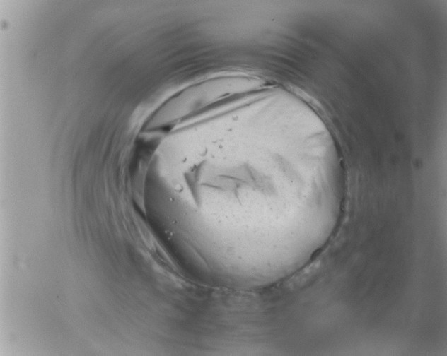 X0000061120337200512091848