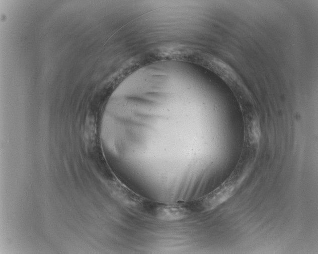 X0000061120372200512091849