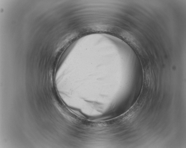 X0000061120398200512091848