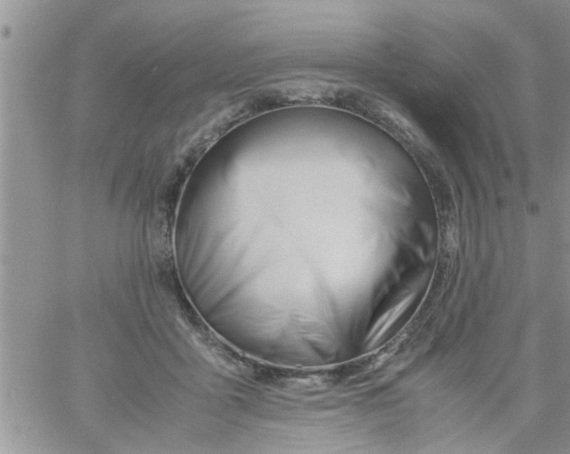 X0000061120411200512091848