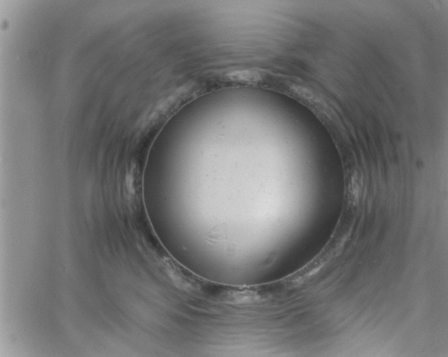 X0000061120424200512091848