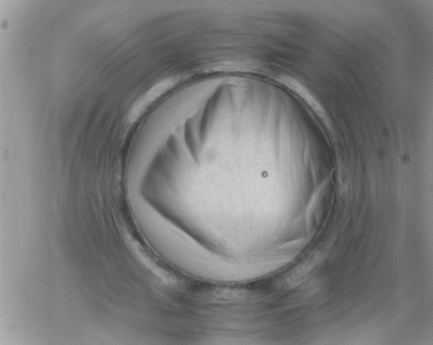 X0000061120437200512091847