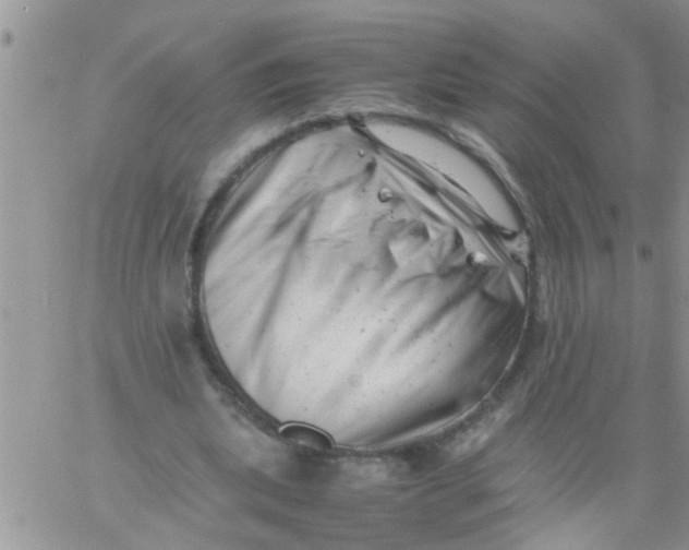 X0000061120439200512091847