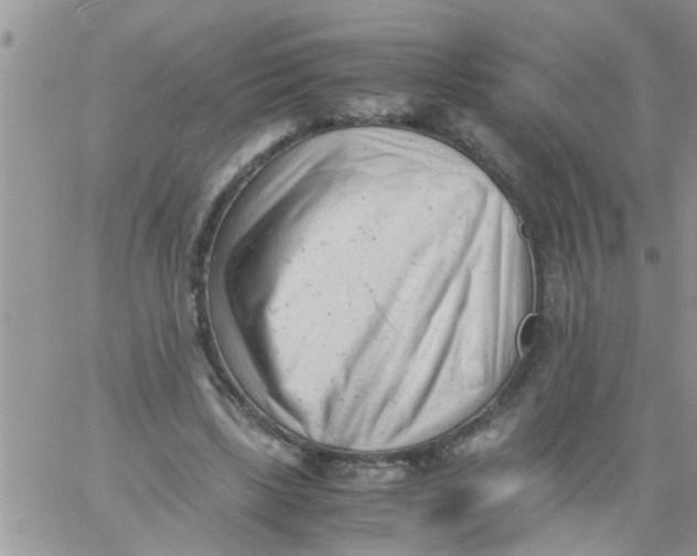 X0000061120443200512091847
