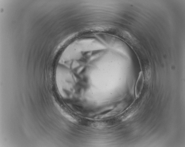 X0000061120444200512091847