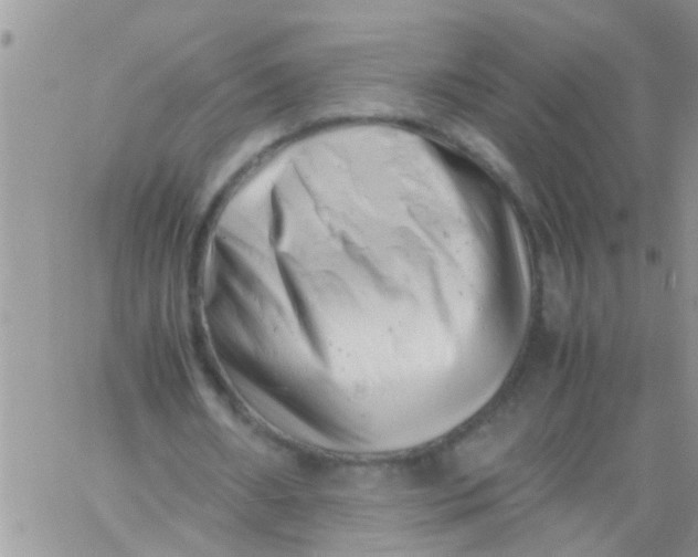 X0000061120482200512091847