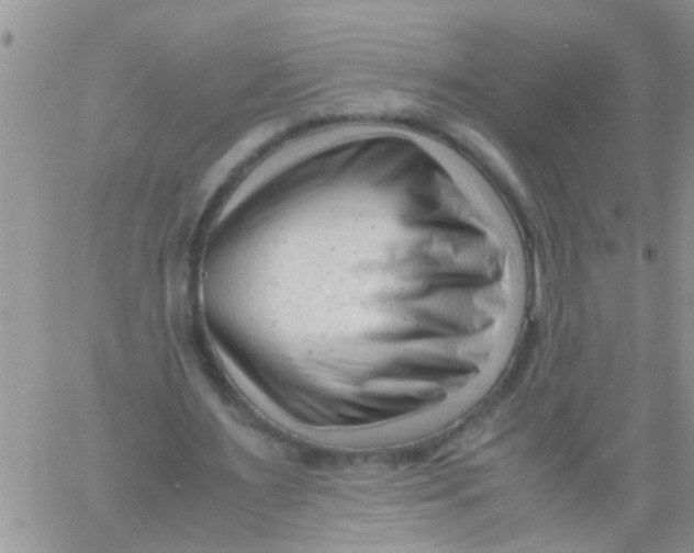 X0000061120483200512091847