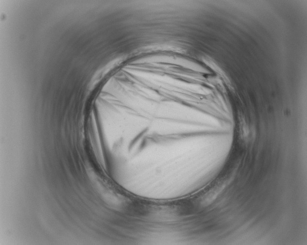 X0000061120486200512091847