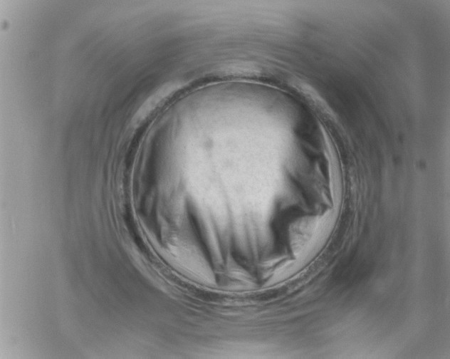 X0000061120487200512091847