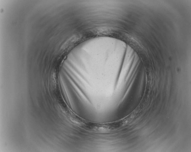 X0000061120506200512091846