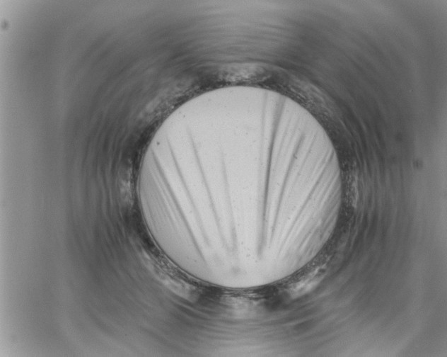 X0000061120510200512091846