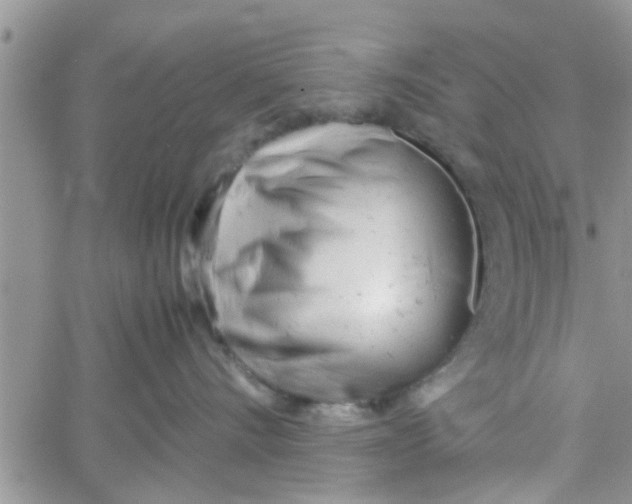 X0000061120528200512091846