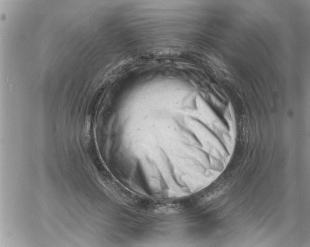 X0000061120550200512091846