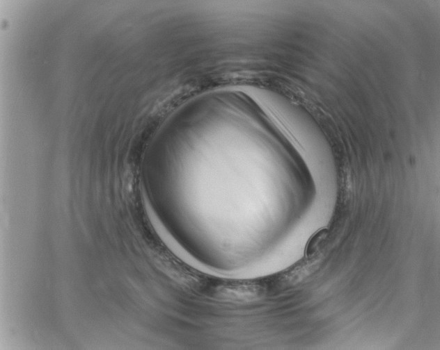 X0000061120567200512091846