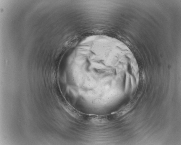 X0000061120568200512091846