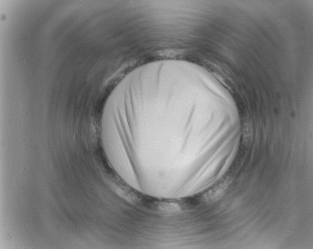 X0000061120572200512091846