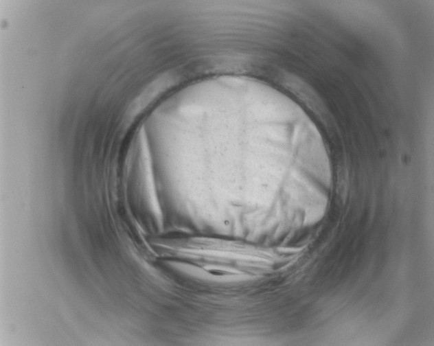 X0000061120578200512091845