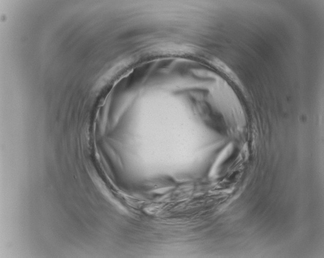 X0000061120581200512091845