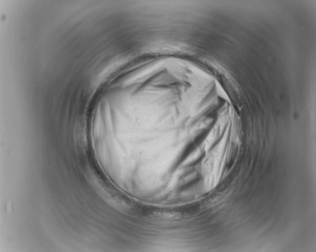 X0000061120582200512091845