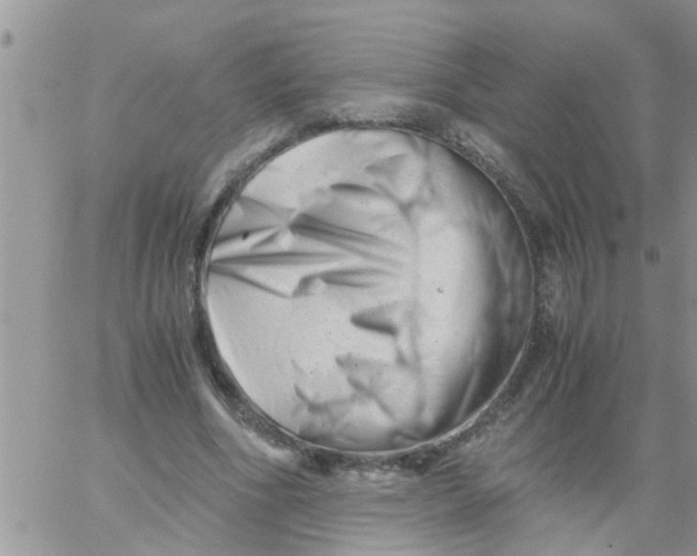 X0000061120586200512091845
