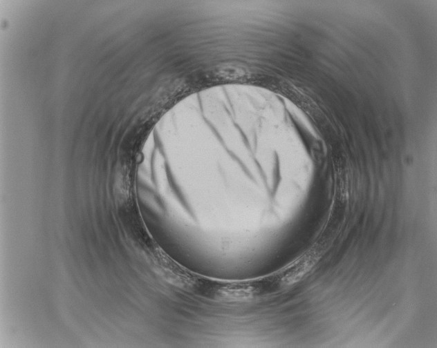 X0000061120606200512091845