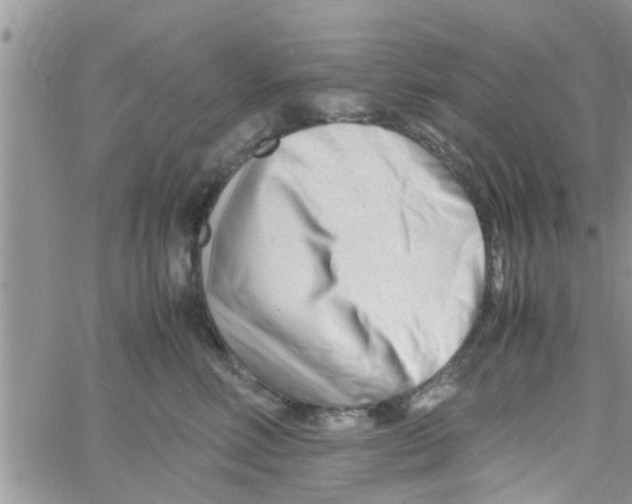 X0000061120618200512091845