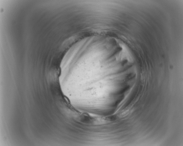 X0000061120623200512091844