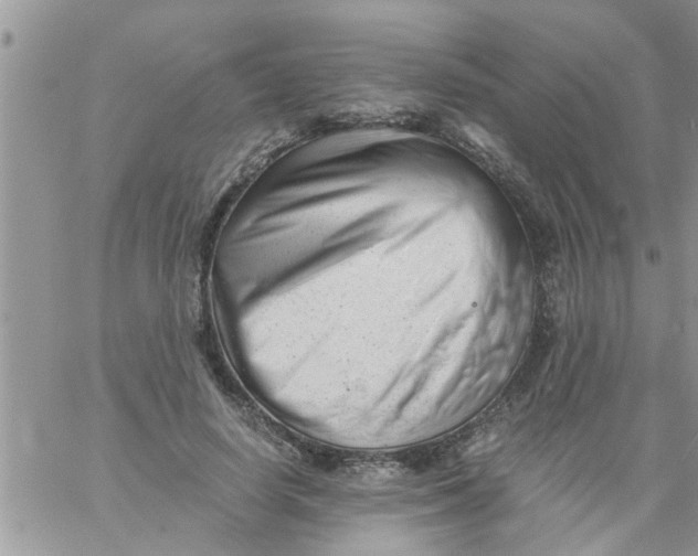 X0000061120642200512091844
