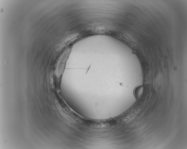 X0000061120646200512091844