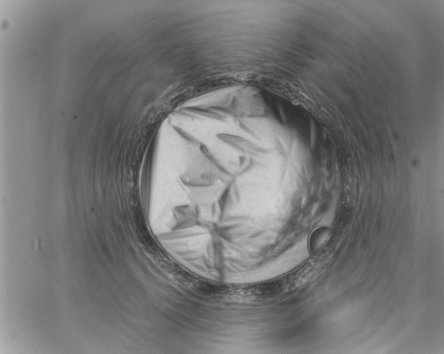 X0000061120656200512091844