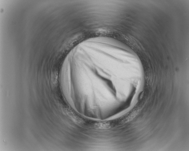 X0000061120660200512091844