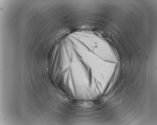 X0000061120663200512091844