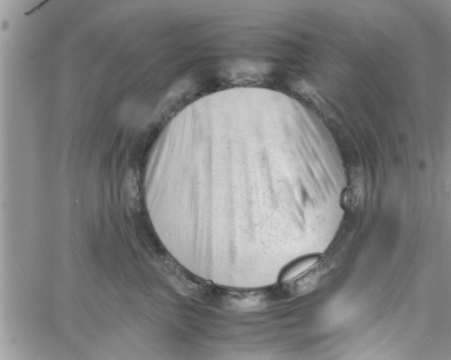 X0000061120667200512091844