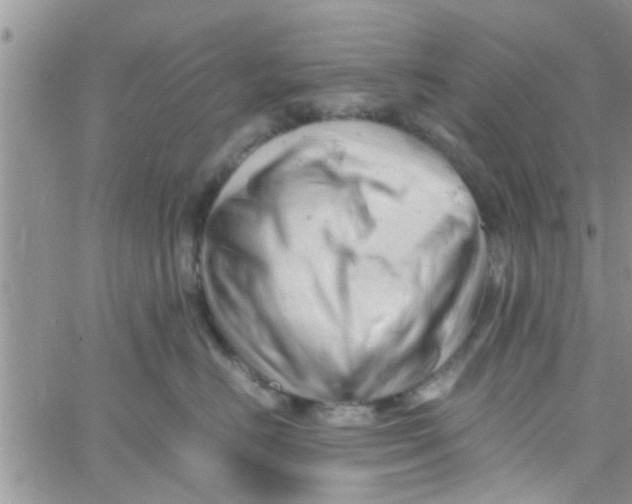 X0000061120670200512091844