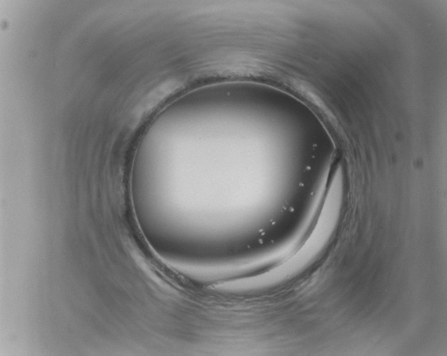 X0000061120677200512091844