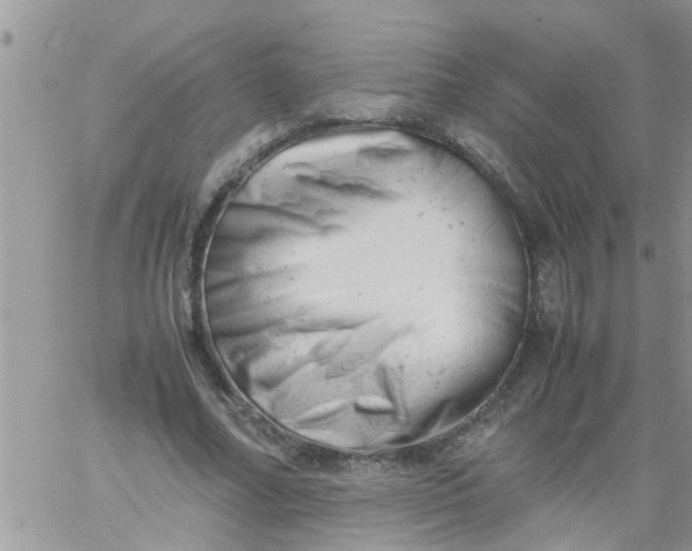 X0000061120682200512091843