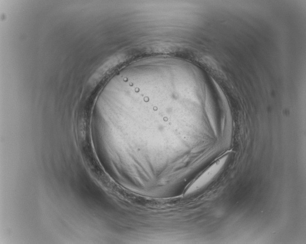 X0000061120683200512091843