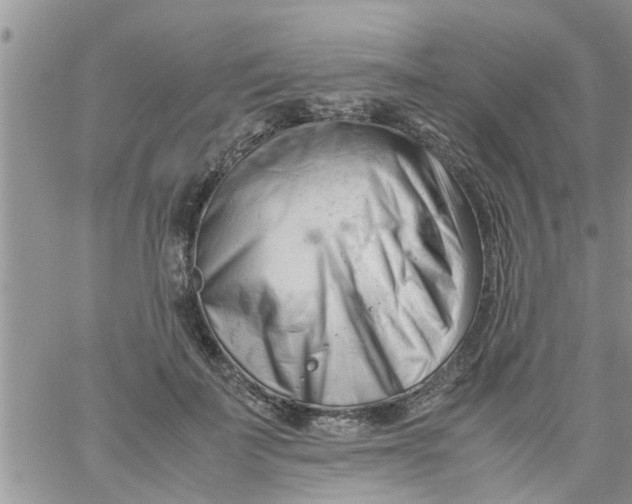 X0000061120699200512091843