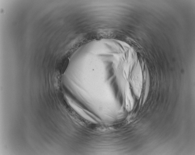 X0000061120712200512091843