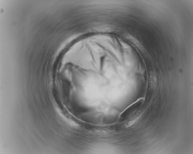 X0000061120726200512091842
