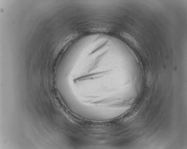 X0000061120729200512091842