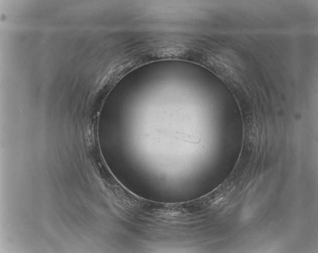 X0000061120743200512091842