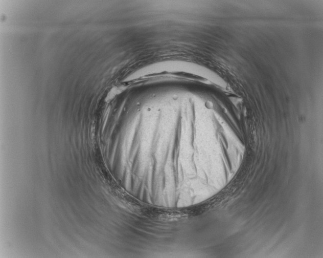 X0000061120745200512091842
