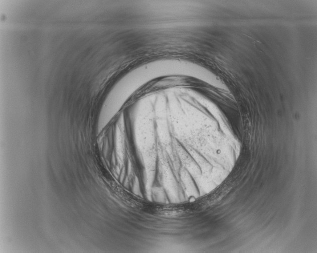 X0000061120746200512091842