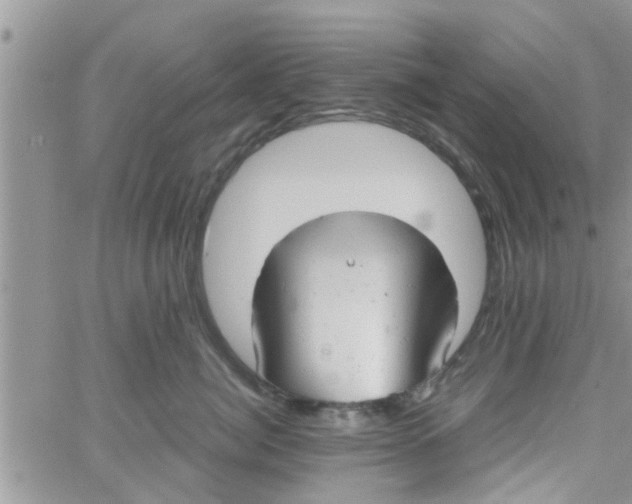 X0000061120764200512091843