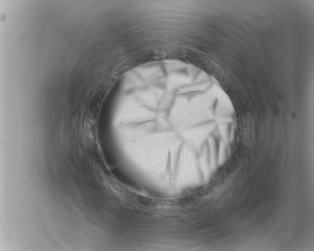 X0000061120770200512091842