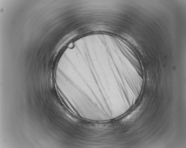 X0000061120782200512091842